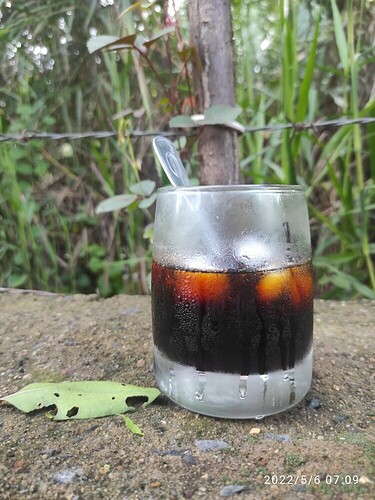 16517957302742495406274181625353