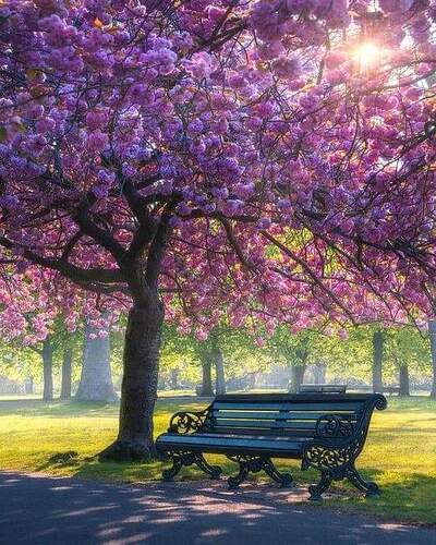 FB_IMG_1651244984603