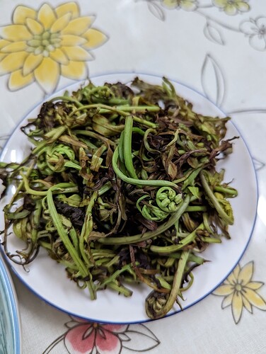 PXL_20221118_124606445