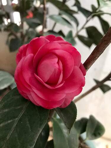 FB_IMG_1644053431000