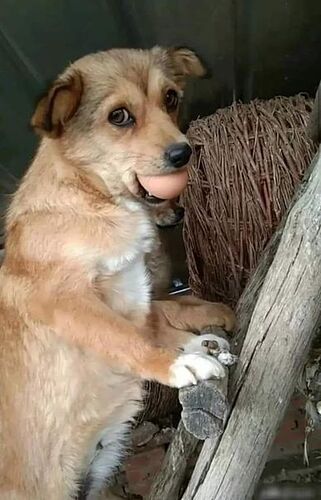 273834284_1347043715768568_2962402296814550561_n