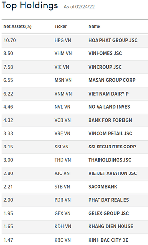 Những khoản đầu tư lớn nhất danh mục VNAM ETF