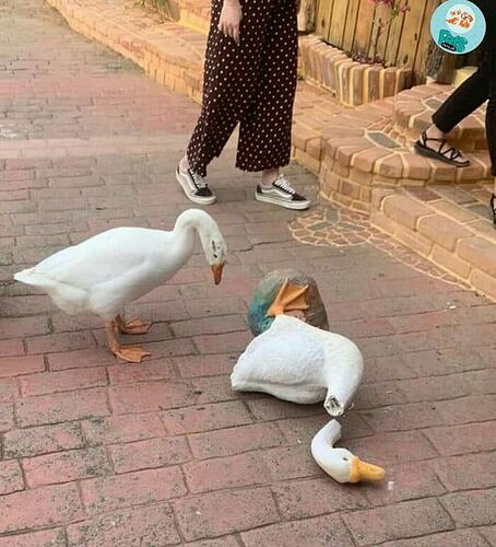 5d7d76c9d4894c2cb8b7c059a035b40e