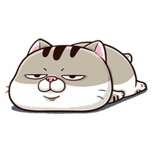 a9da5a3df6071e4eff7450e45f26f4f7