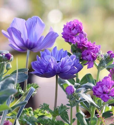 FB_IMG_1663075709027