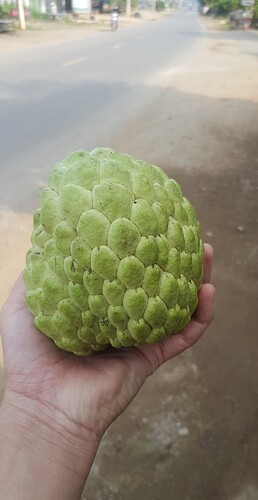 IMG_UPLOAD_20220921_085546