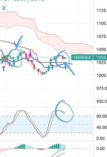 Screenshot_20221013_061246_TradingView