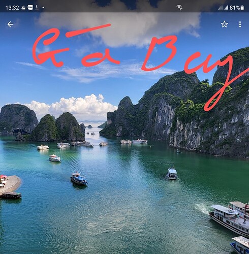 Screenshot_20220803-133239_Photos~2