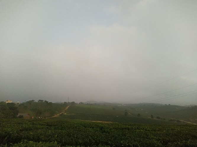 IMG_20221111_173752_2