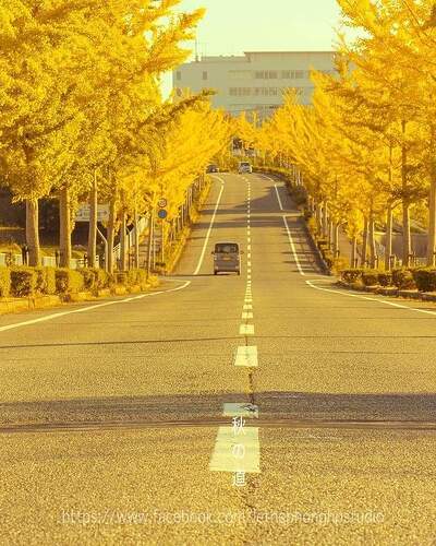 FB_IMG_1638665663755