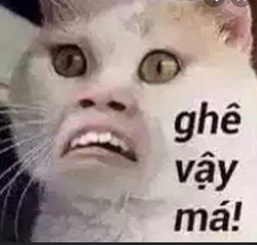 Screenshot_20220622-135030_Google