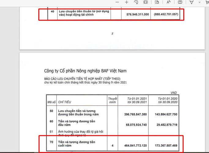 Dòng tiền tài chính BAF