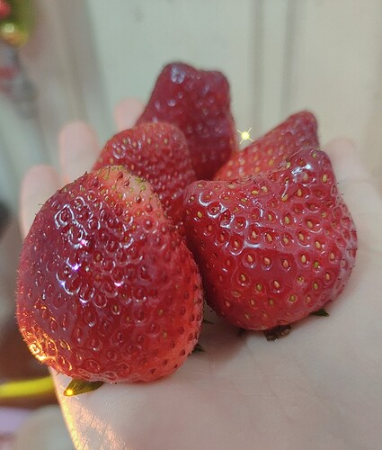 B612_20220203_112851_846~2