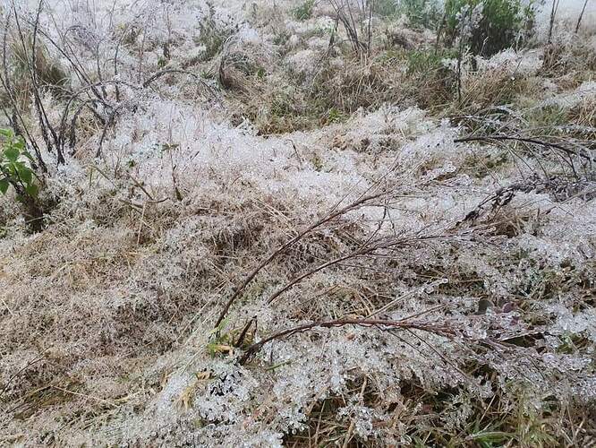 FB_IMG_1645362861725