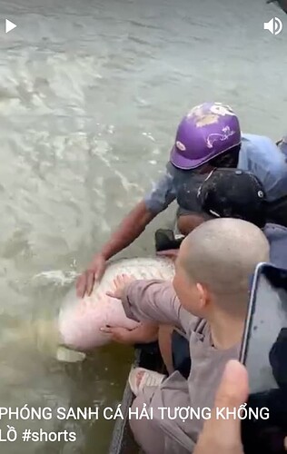 Screen Shot 2022-08-13 at 11.53.12 PM