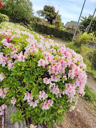 FB_IMG_1652198811416