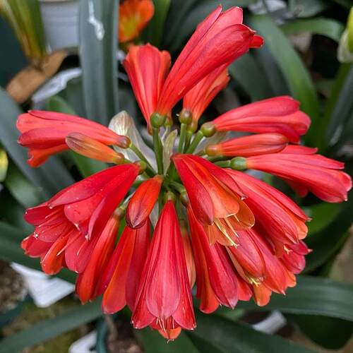 FB_IMG_1651212113754