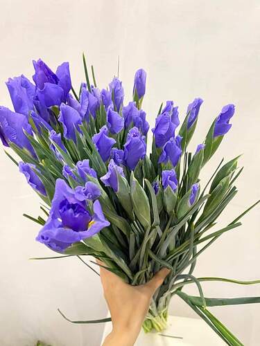 FB_IMG_1655185761183