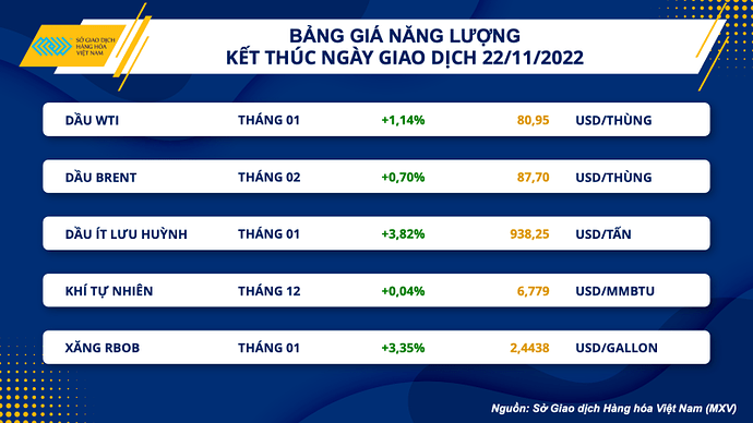 bang-gia-nang-luong20221123080223