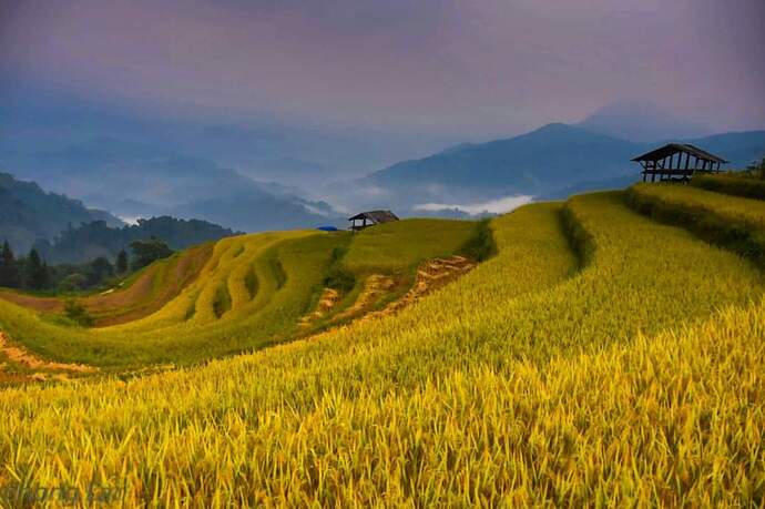 FB_IMG_1647587758454