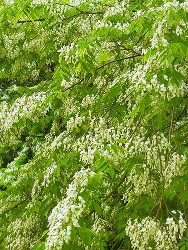 FB_IMG_1647654139244