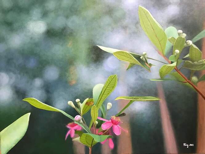 FB_IMG_1649665418264