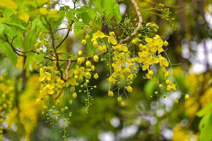 FB_IMG_1652692826760