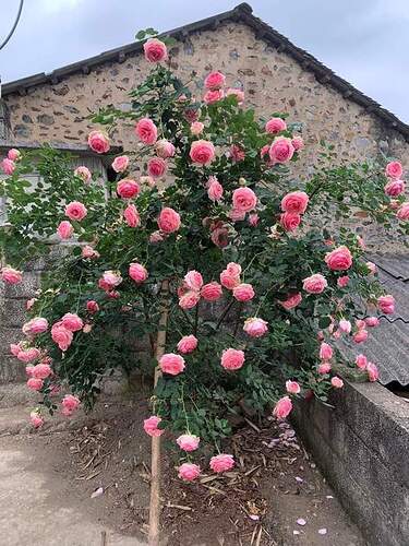 FB_IMG_1651852581649