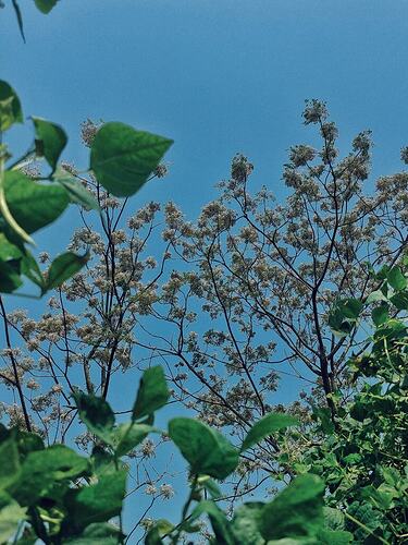 277463982_1858816407644677_6555185148980836653_n