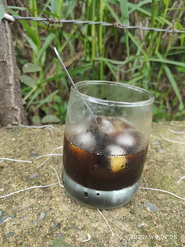 16520560888218065780922402048631