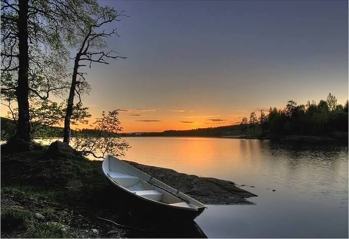 17098610_156349098215479_5778321280889947883_n