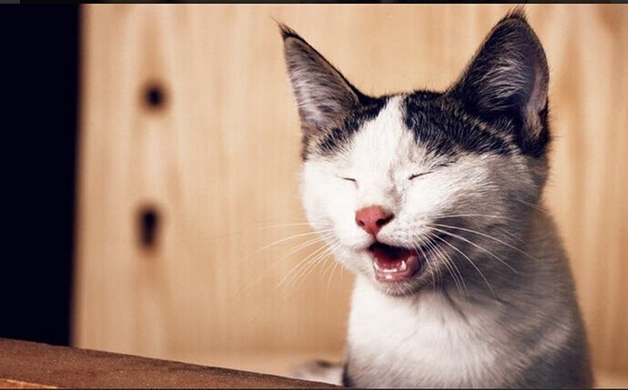 Screenshot_2022-07-05-09-16-24-202_com.android.chrome