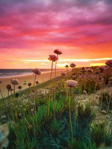 FB_IMG_1635637384035