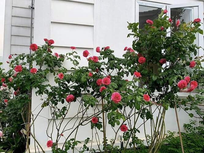 FB_IMG_1651672185022