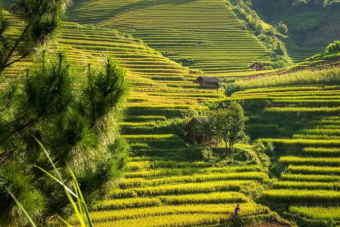 FB_IMG_1650289269510