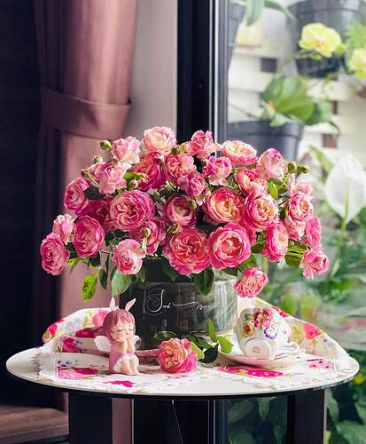 FB_IMG_1653023574657