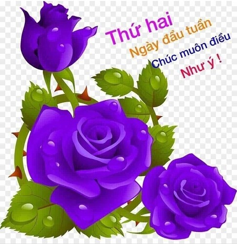 Screenshot_20220321_063629