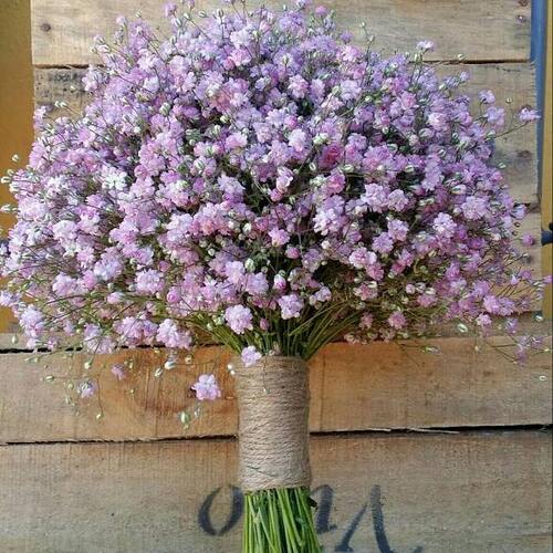 images(3)