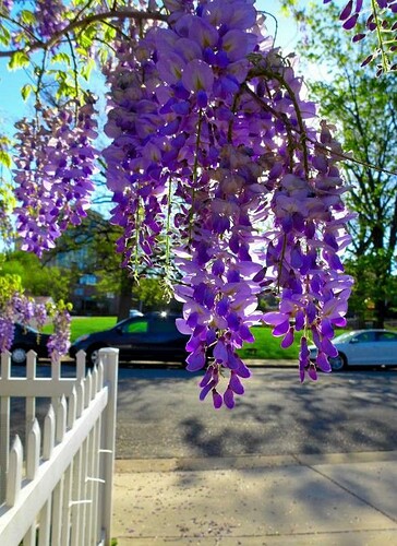 4adf8eb63c59dcc47a1fc86130d71208