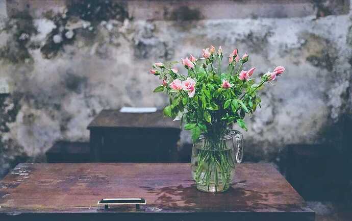 293865413_5432197783489756_8108477075964383796_n