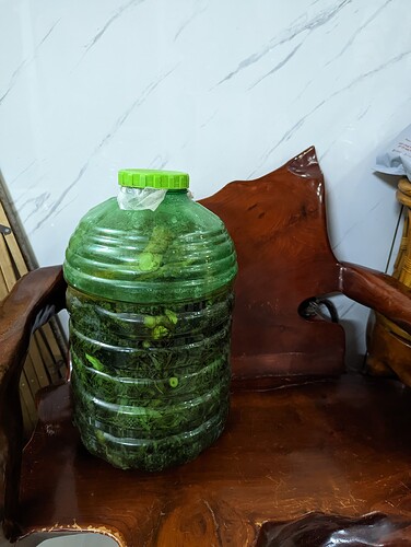 PXL_20221024_042255325