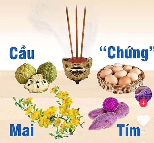 FB_IMG_1643582681244