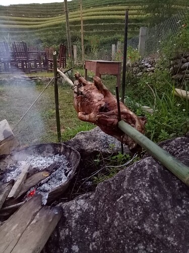 IMG_20220928_090658_525