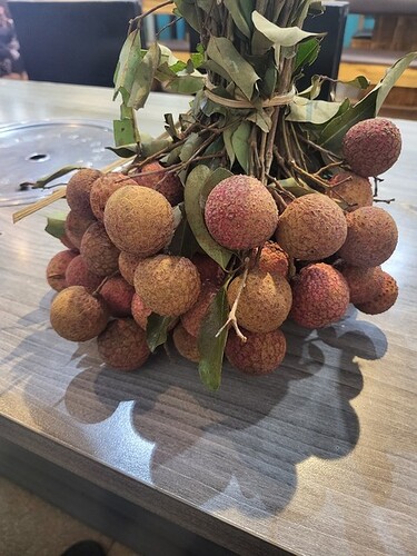 16559935007868349416762815242709