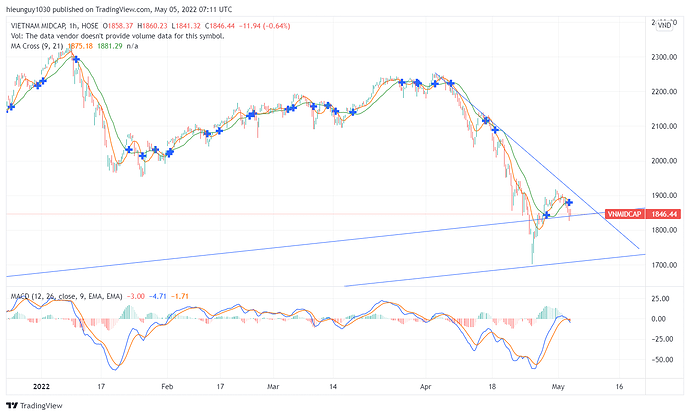 VNMIDCAP_2022-05-05_14-11-40