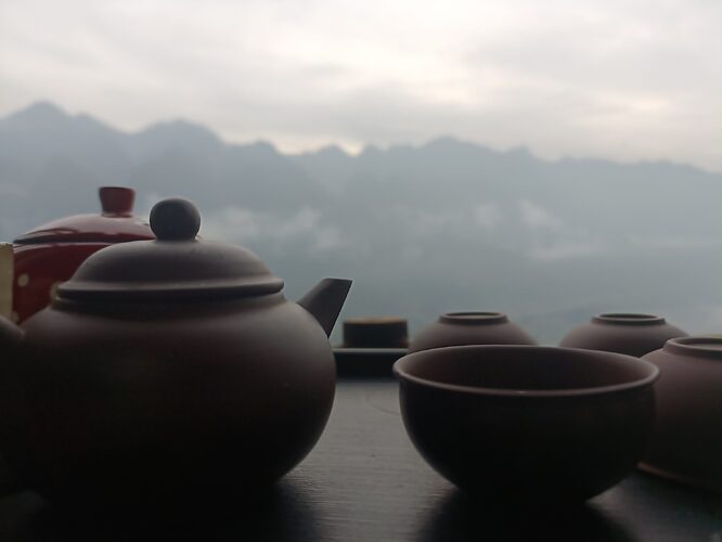 IMG20221020065006_BURST016