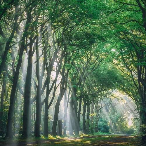 FB_IMG_1638792994407