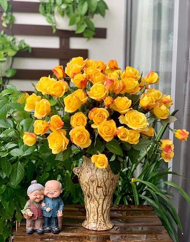 FB_IMG_1652193521187