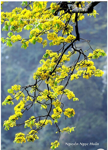 Screenshot_20220124-120911~2