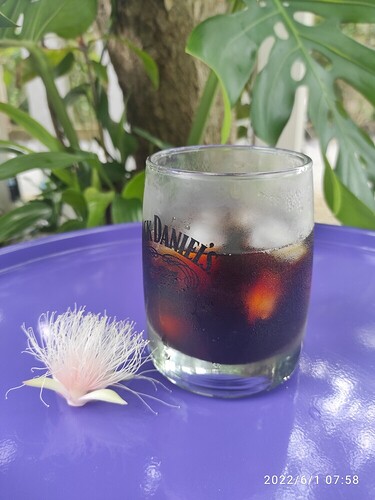 16540450765041352730045831291423